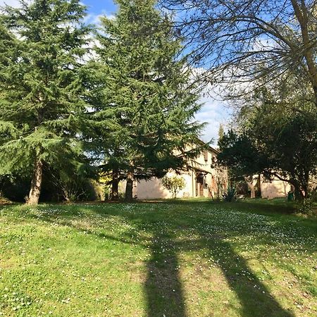 Agriturismo Bethsaid Fauglia Екстер'єр фото