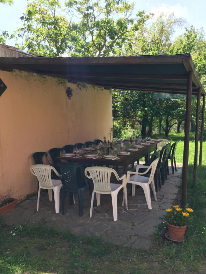 Agriturismo Bethsaid Fauglia Екстер'єр фото