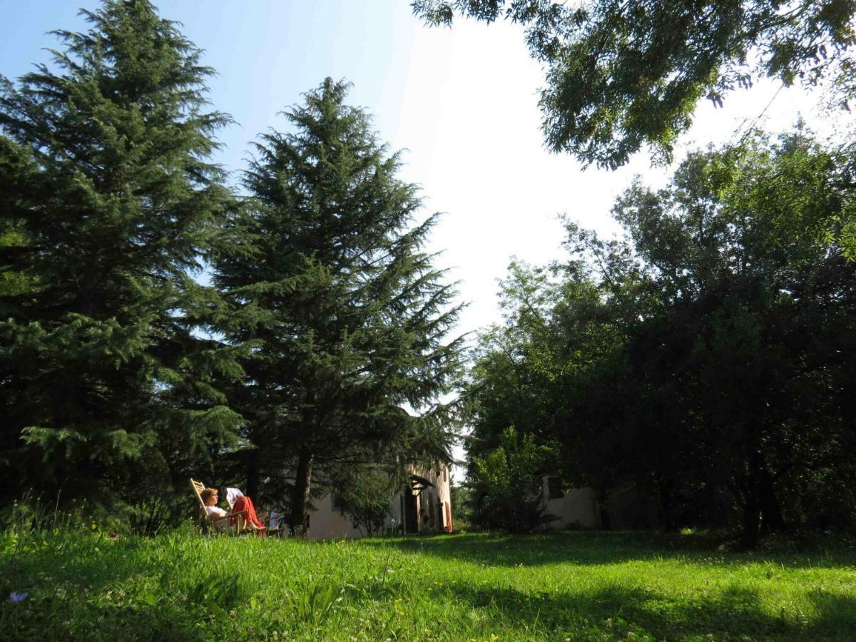 Agriturismo Bethsaid Fauglia Екстер'єр фото