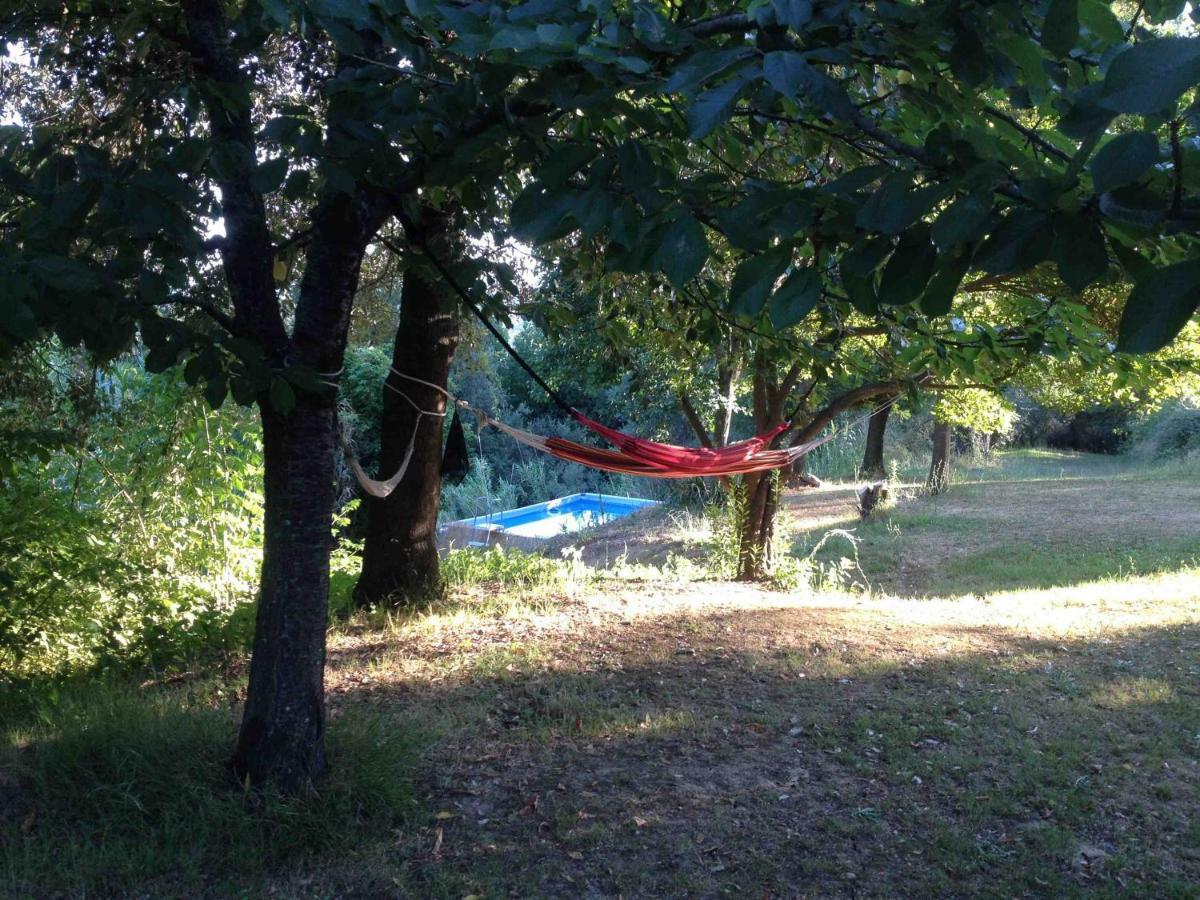 Agriturismo Bethsaid Fauglia Екстер'єр фото