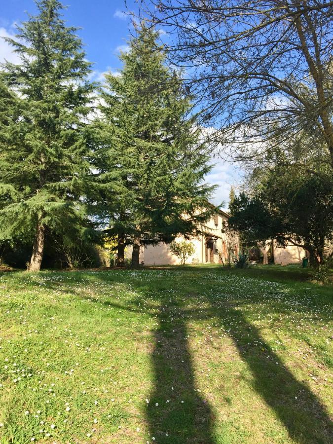 Agriturismo Bethsaid Fauglia Екстер'єр фото
