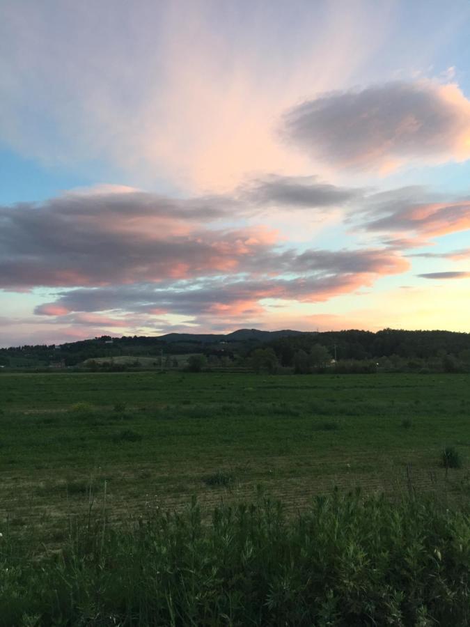 Agriturismo Bethsaid Fauglia Екстер'єр фото